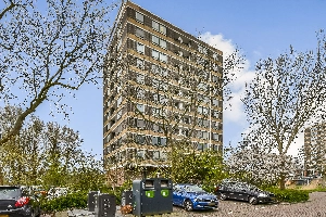 Boerhaavestraat 335